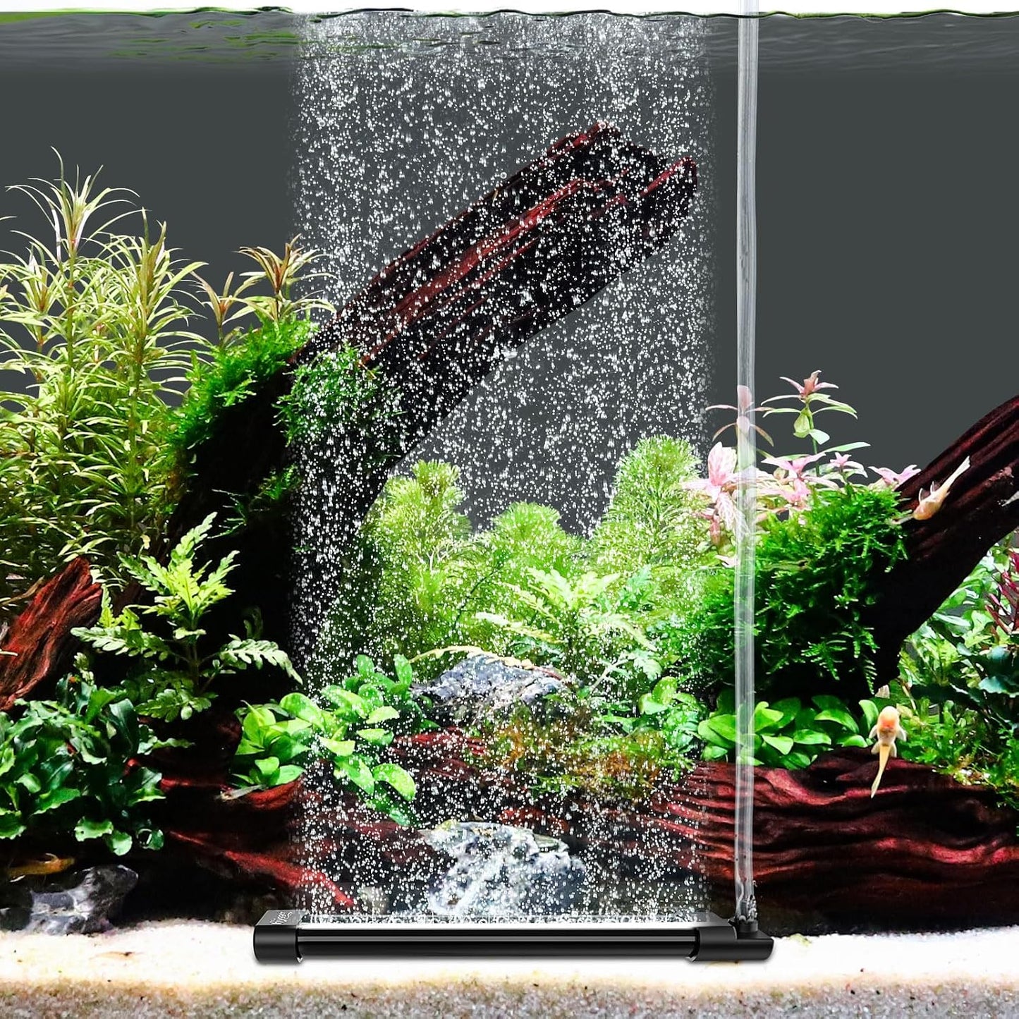 Hygger aquarium bubble curtain wall front view in a clean fish tank.