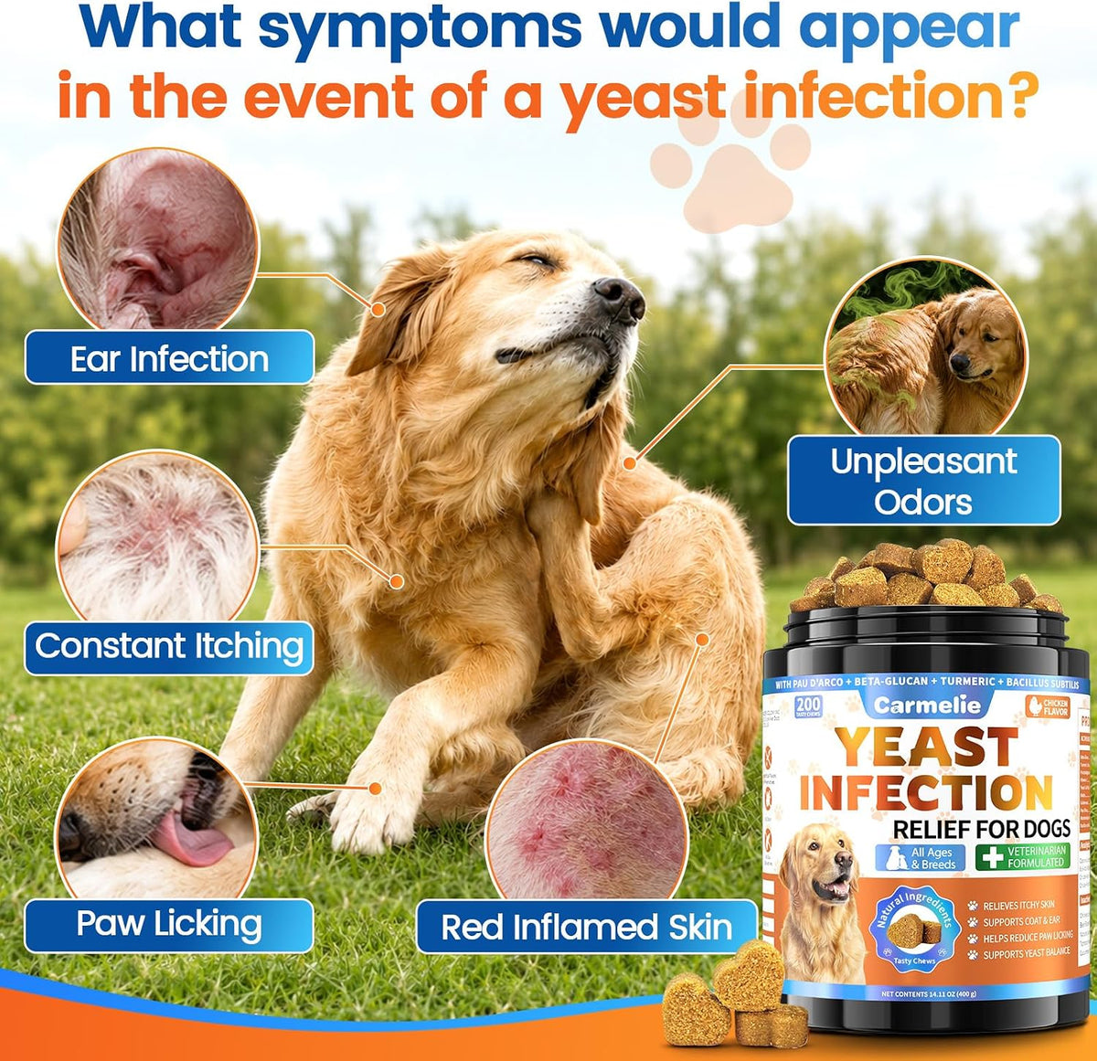 Dog allergy support chews showing chicken flavor text for canine itch relief.