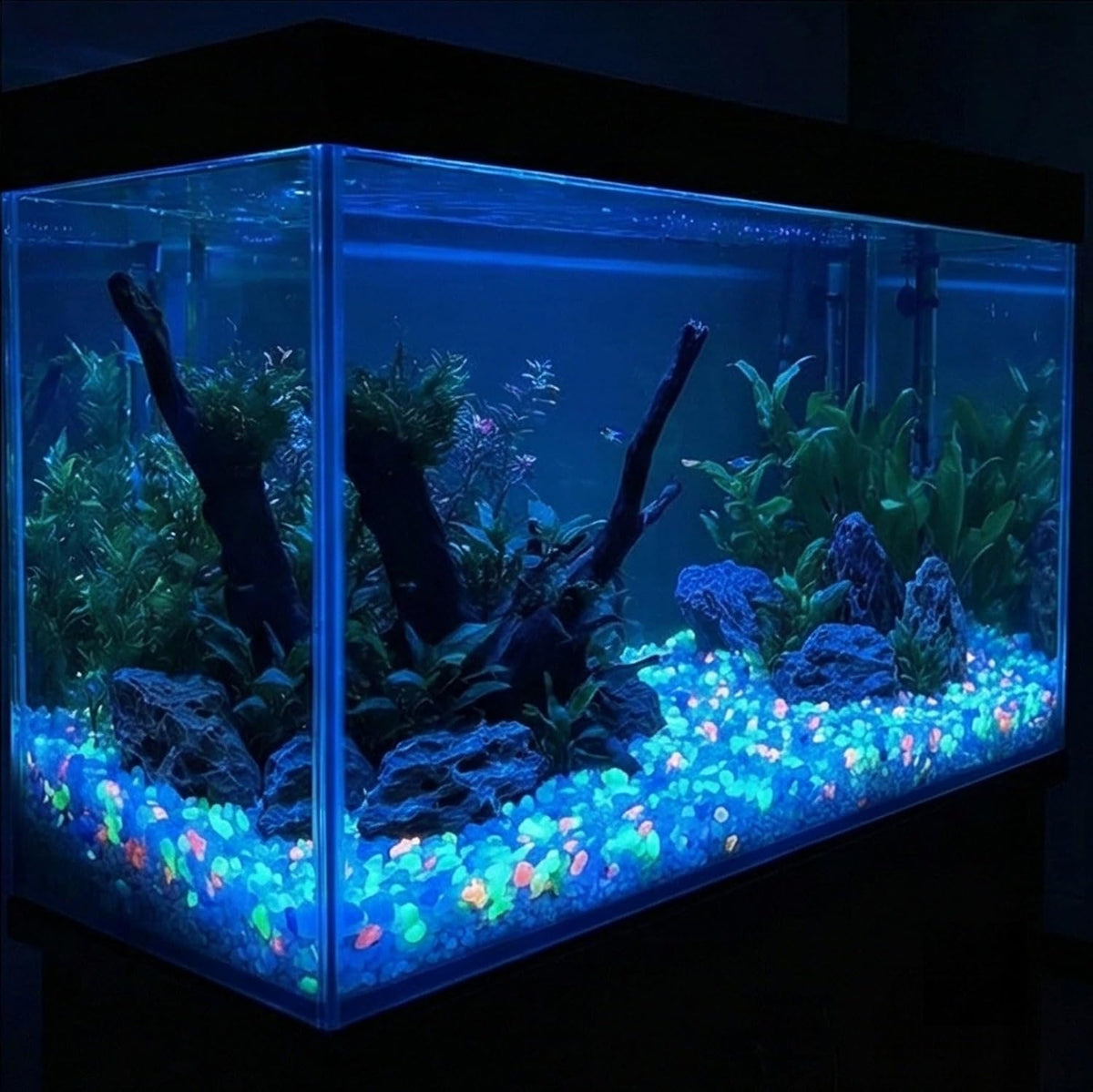 Comparison of glow in the dark stones during day and night