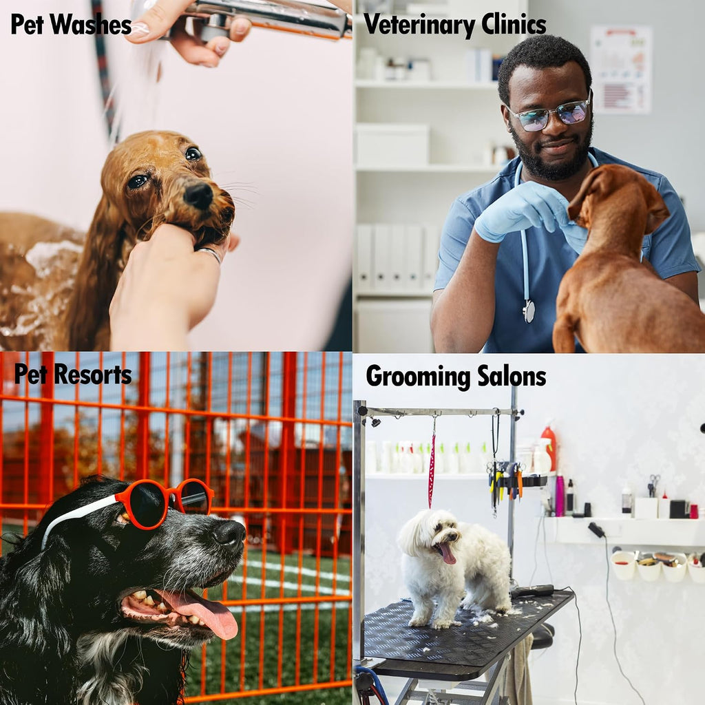 Petology 256:1 disinfectant for kennel hygiene