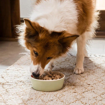 Open Farm raw freeze dried morsels dog food texture close up