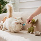 Nutritional label of Petphabet cat treats