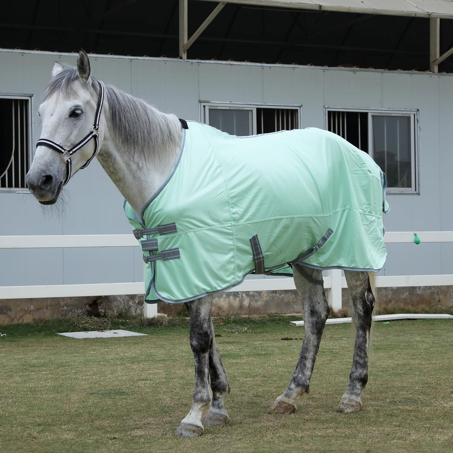 TARFEPA breathable mesh horse sheet side view showing belly straps