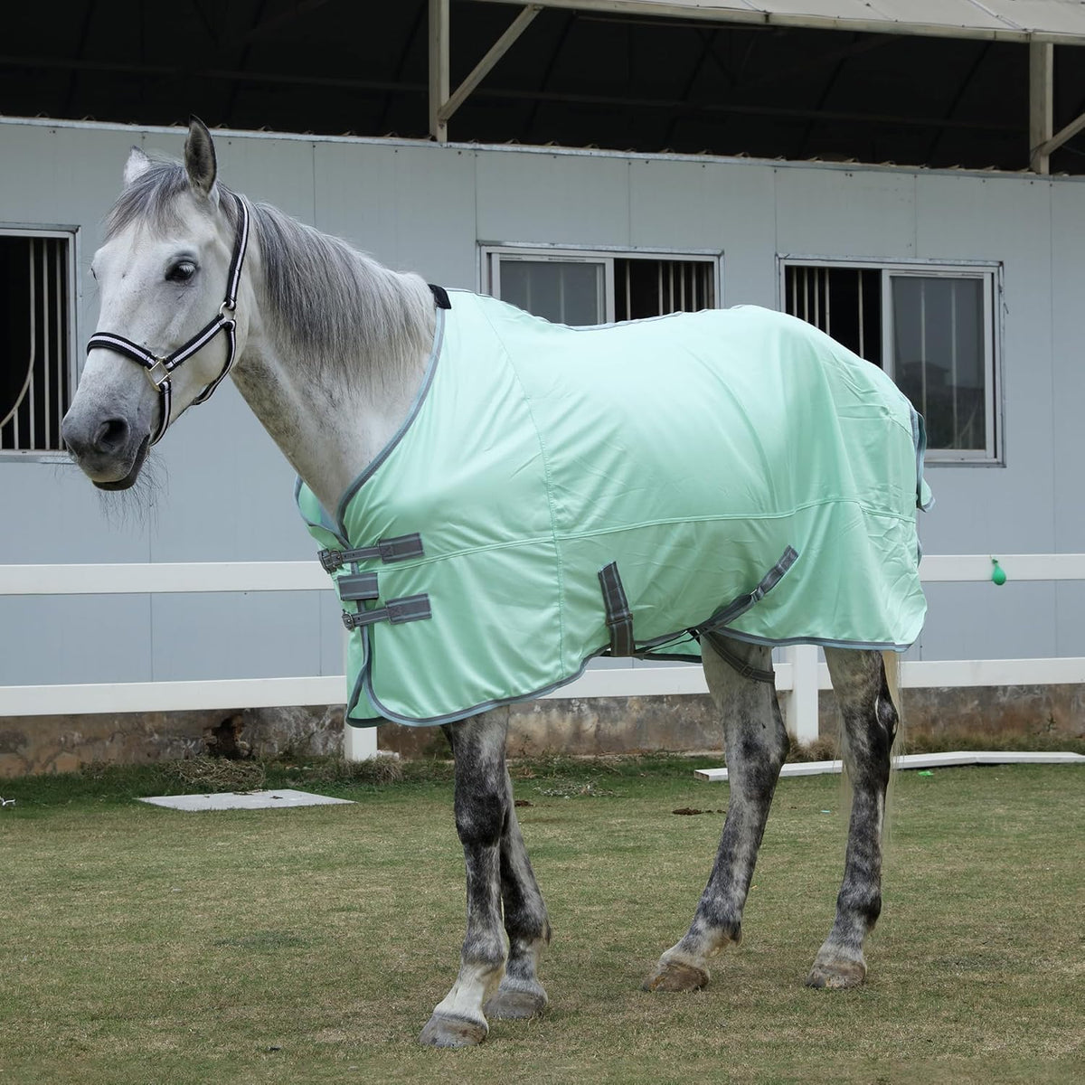TARFEPA breathable mesh horse sheet side view showing belly straps