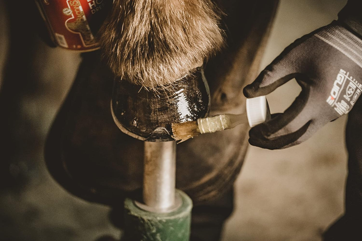 Imported Kevin Bacon's horse hoof oil tin showing application brush attachment