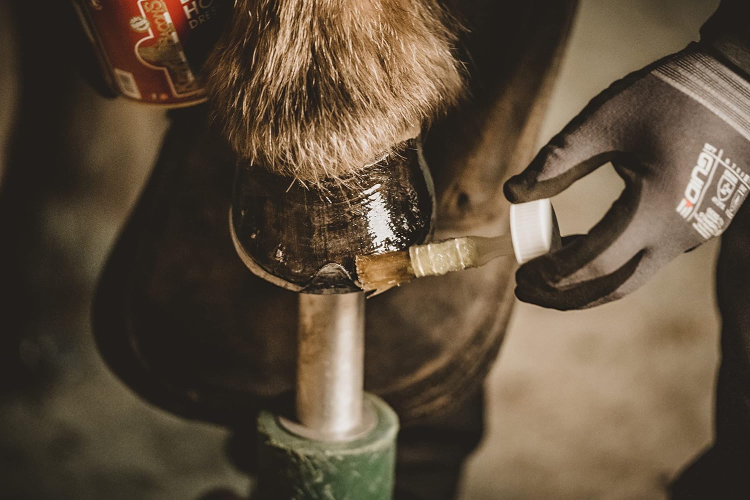 Imported Kevin Bacon's horse hoof oil tin showing application brush attachment