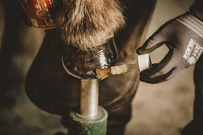 Imported Kevin Bacon's horse hoof oil tin showing application brush attachment