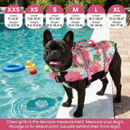 Doglay premium pet flotation vest showing the top rescue handle