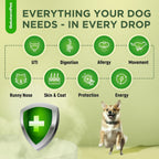 SalutemPet dog infection relief liquid bottle herbal allergy supplement