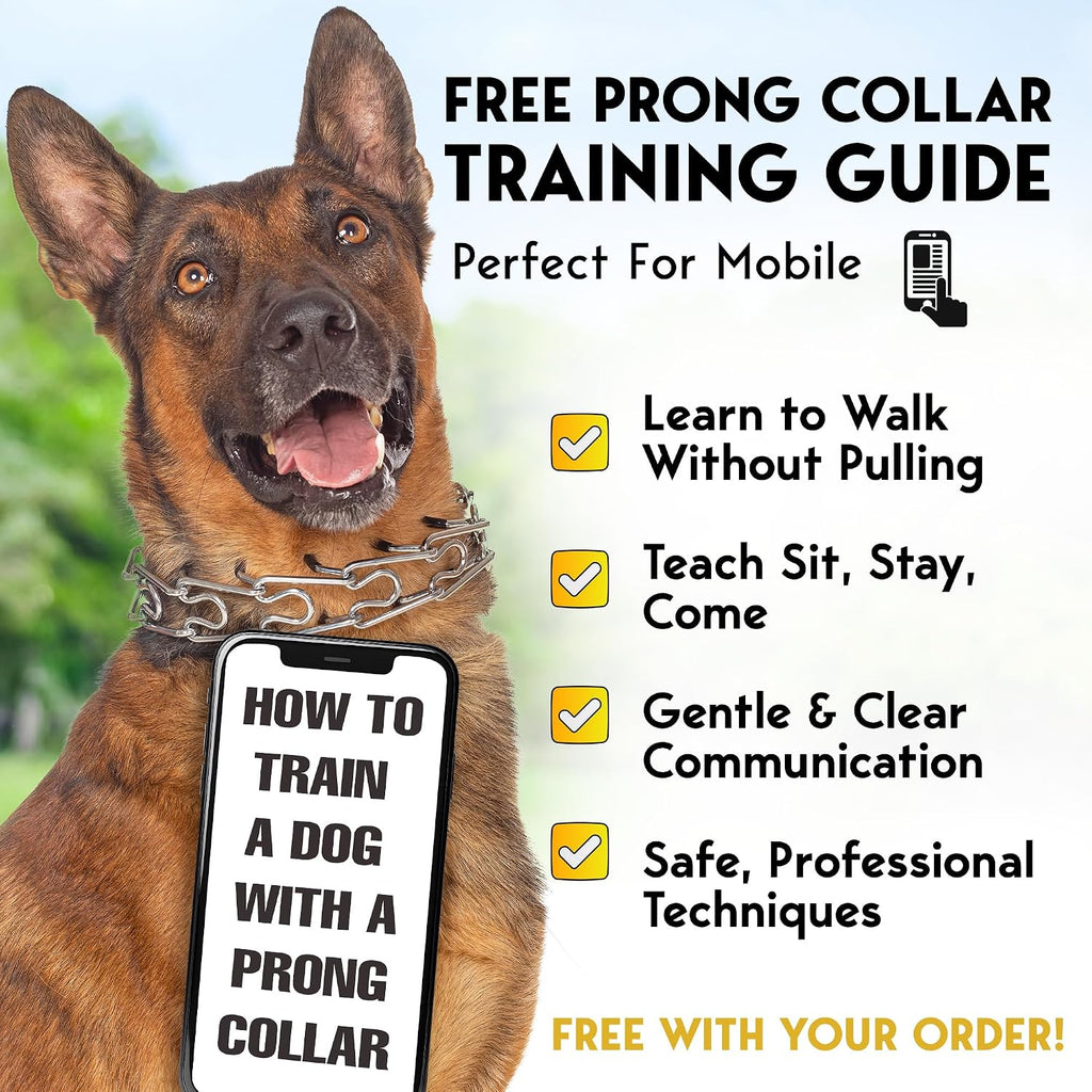 PetJett water resistant chrome plated dog training chain spread flat to show even link distribution