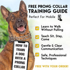 PetJett water resistant chrome plated dog training chain spread flat to show even link distribution