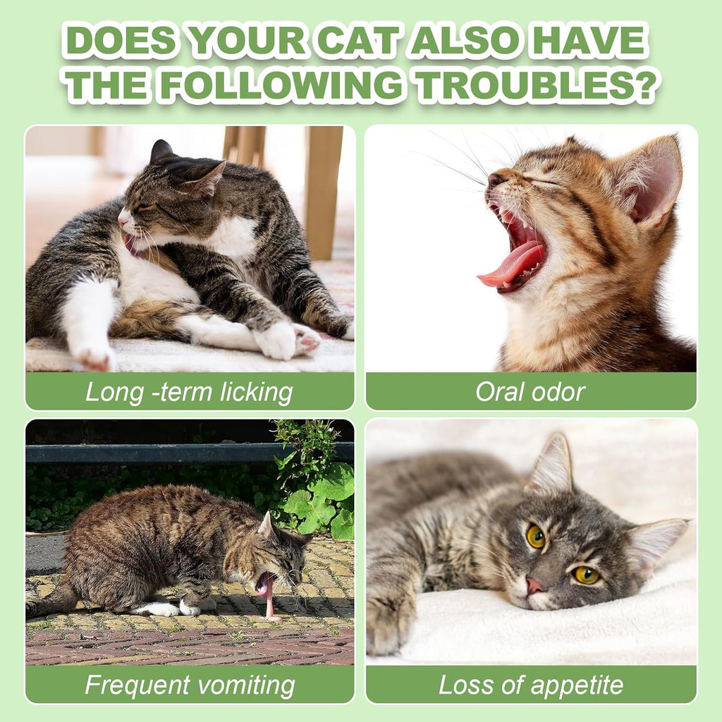 Dylan's Cabin feline oral health treats ingredient callout label.