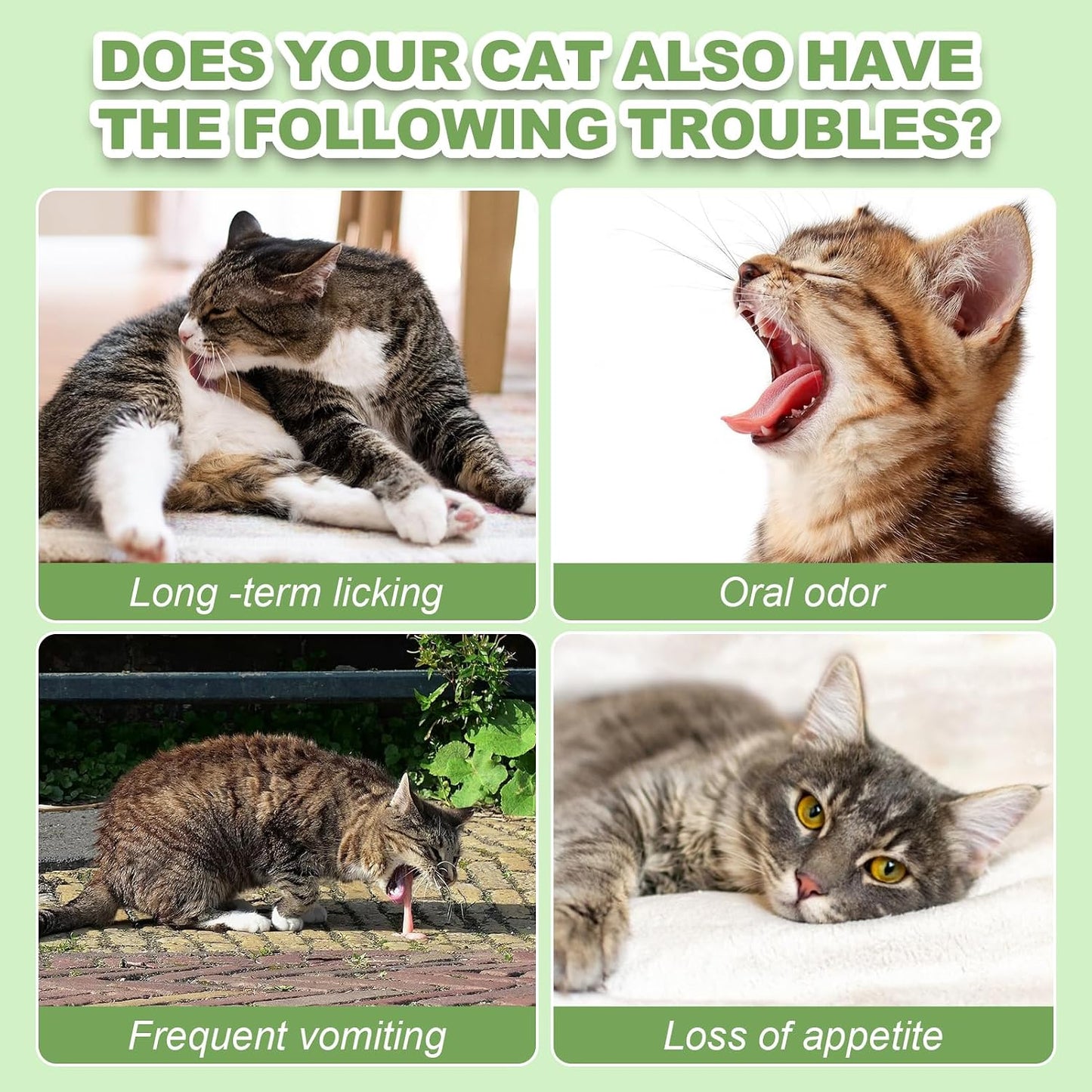 Dylan's Cabin feline oral health treats ingredient callout label.