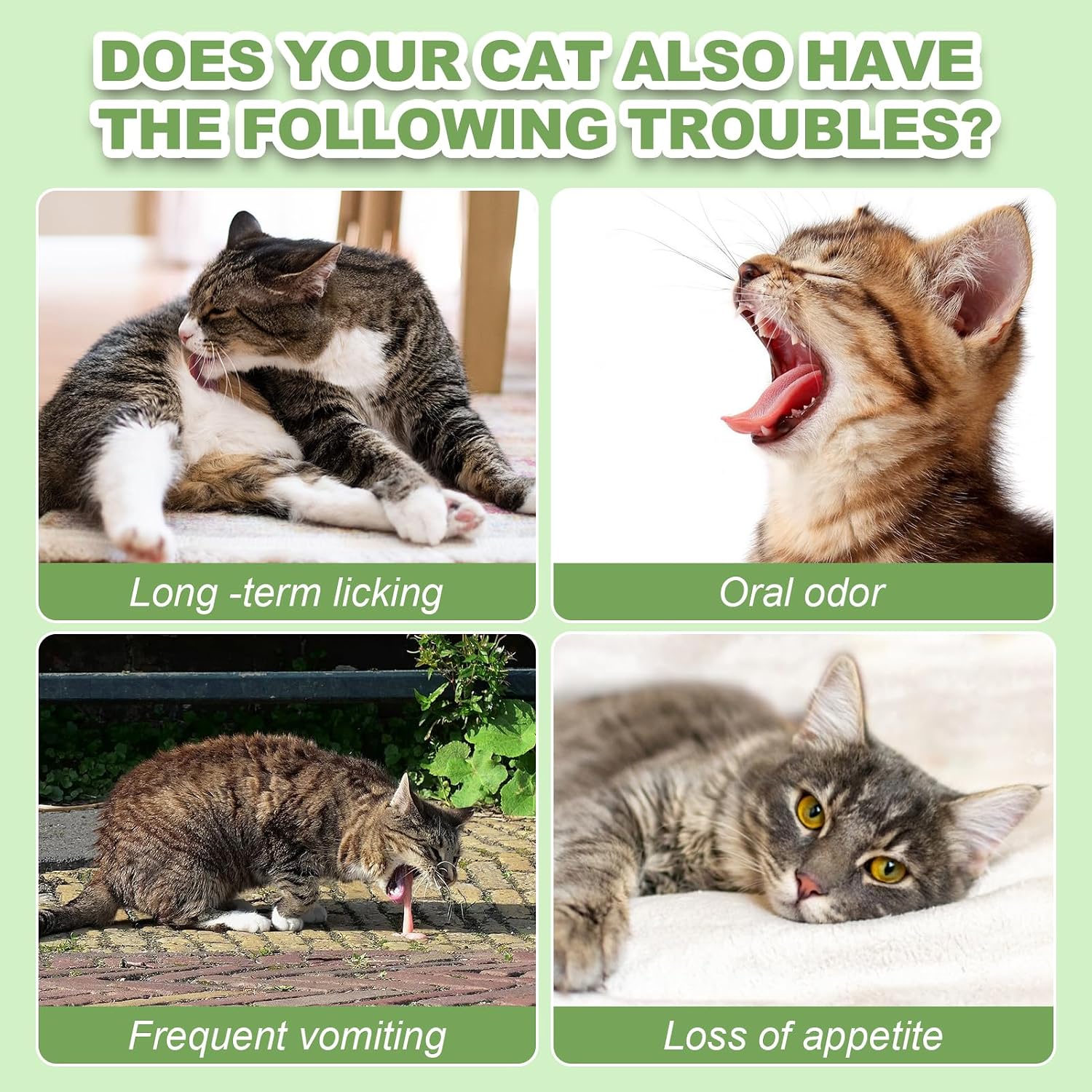 Dylan's Cabin feline oral health treats ingredient callout label.