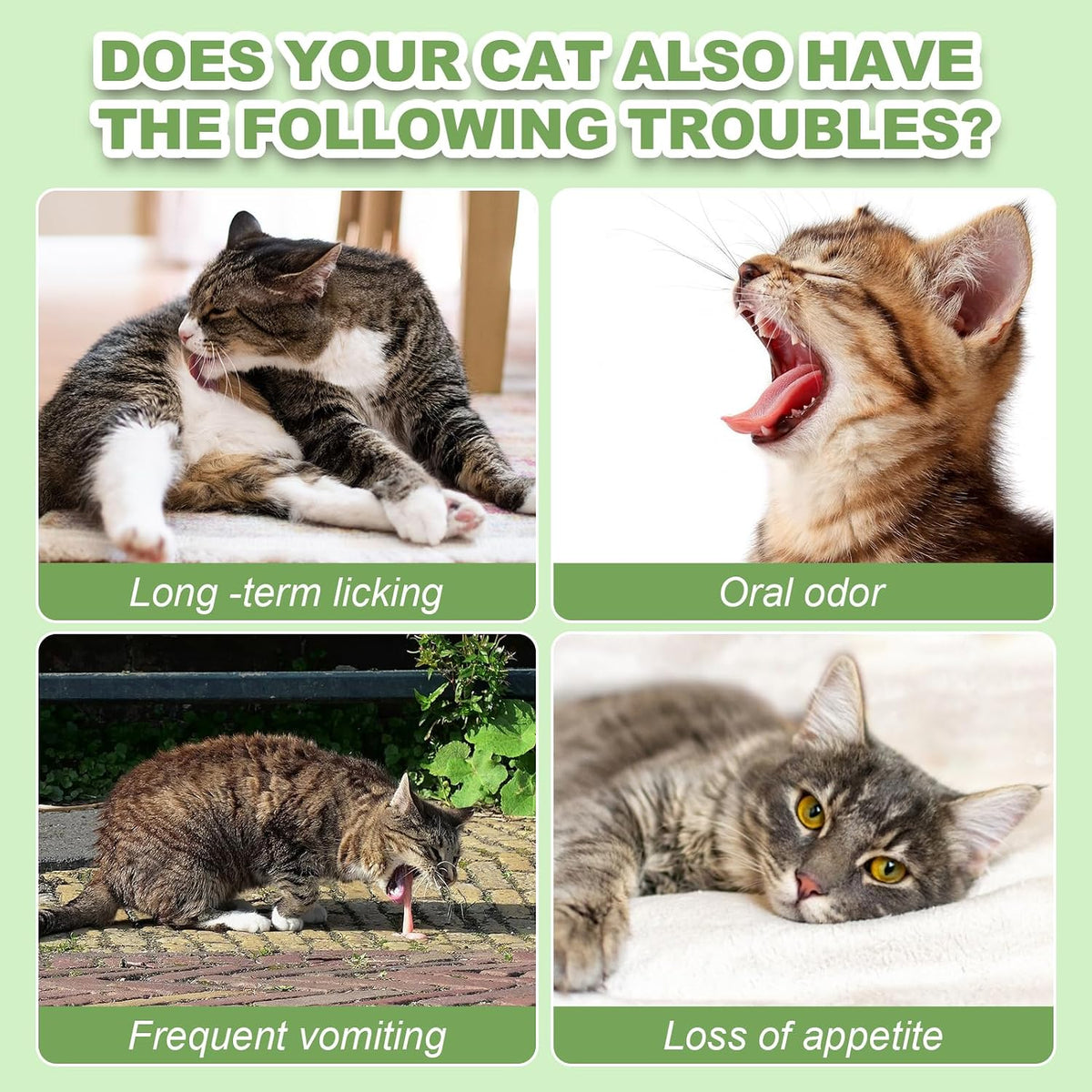 Dylan's Cabin feline oral health treats ingredient callout label.