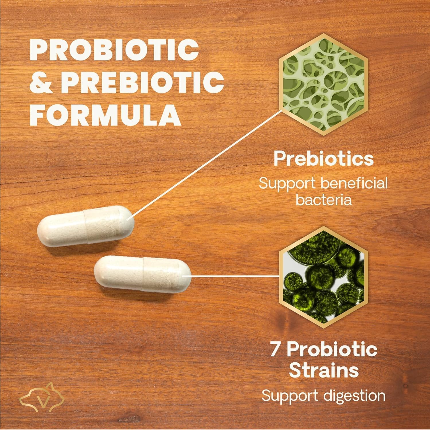 VetriScience digestive supplement 120 count bottle size