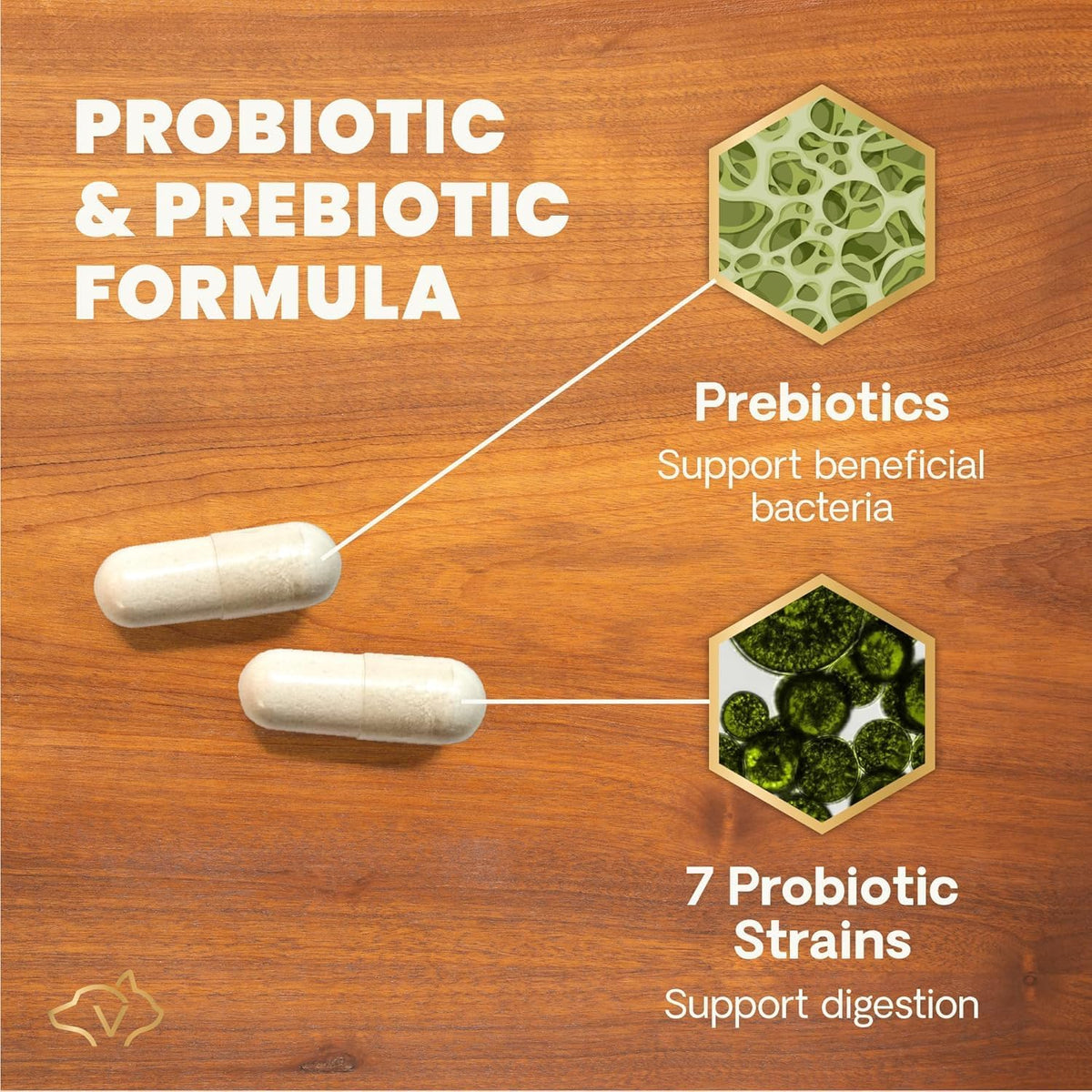 VetriScience digestive supplement 120 count bottle size