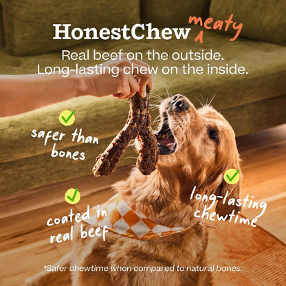 Dog playing with Y-Gnawt durable chew toy