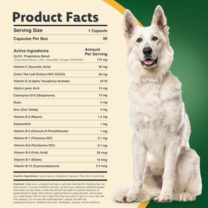 Ocu-GLO pet eye care powder capsules for vision support nutrition
