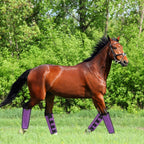 Heavy duty mesh texture of the MIYABALA protective horse leggings.