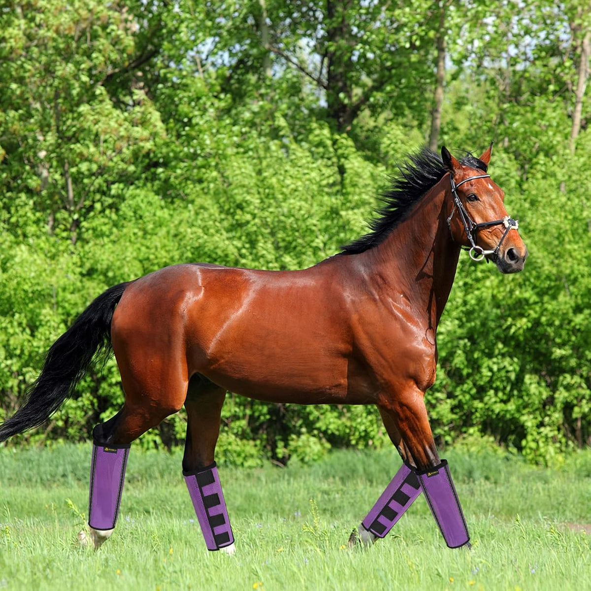 Heavy duty mesh texture of the MIYABALA protective horse leggings.