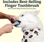 Jasper enzymatic dog toothpaste tube showing the natural coconut and calendula oil components.