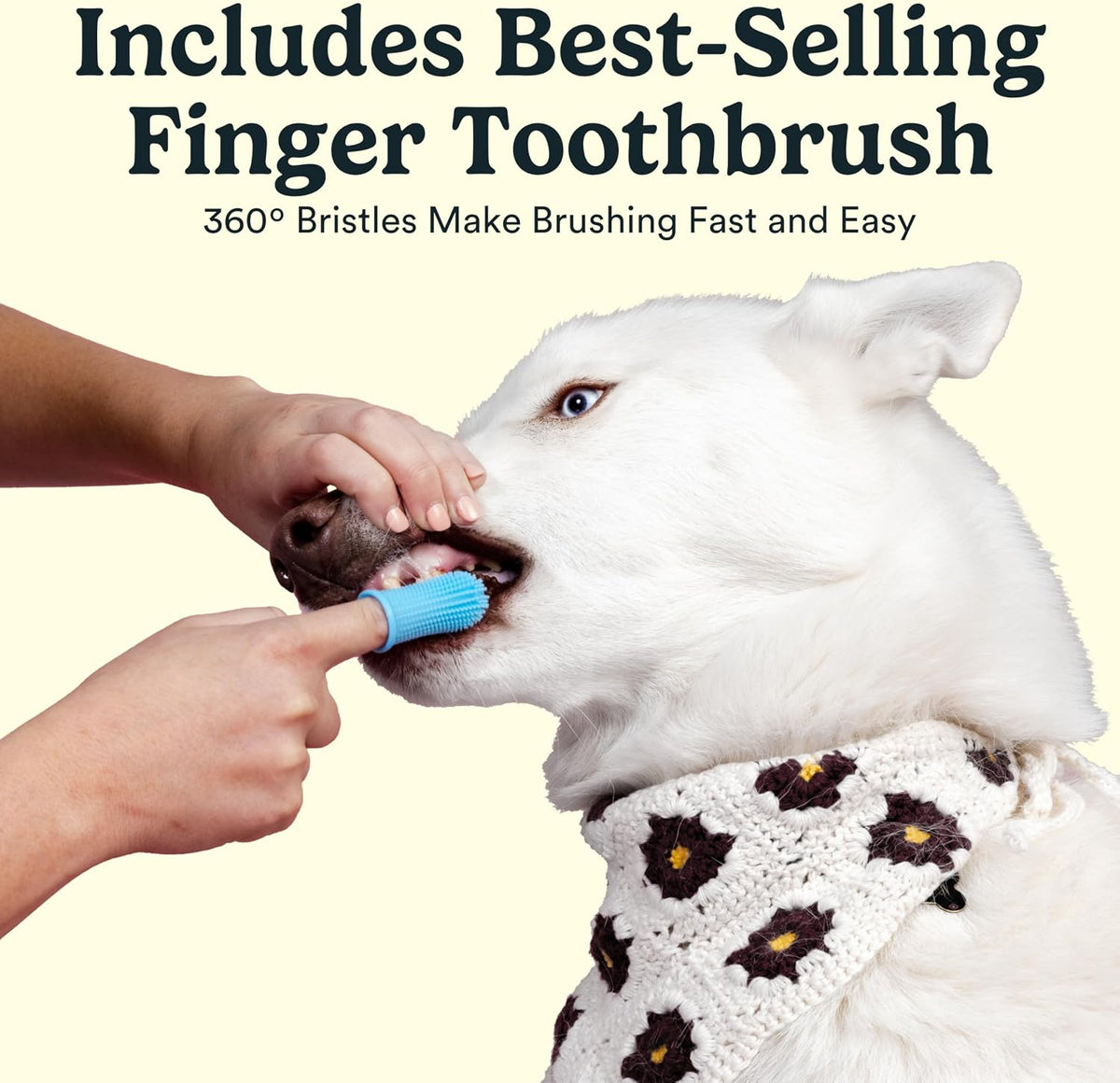 Jasper enzymatic dog toothpaste tube showing the natural coconut and calendula oil components.