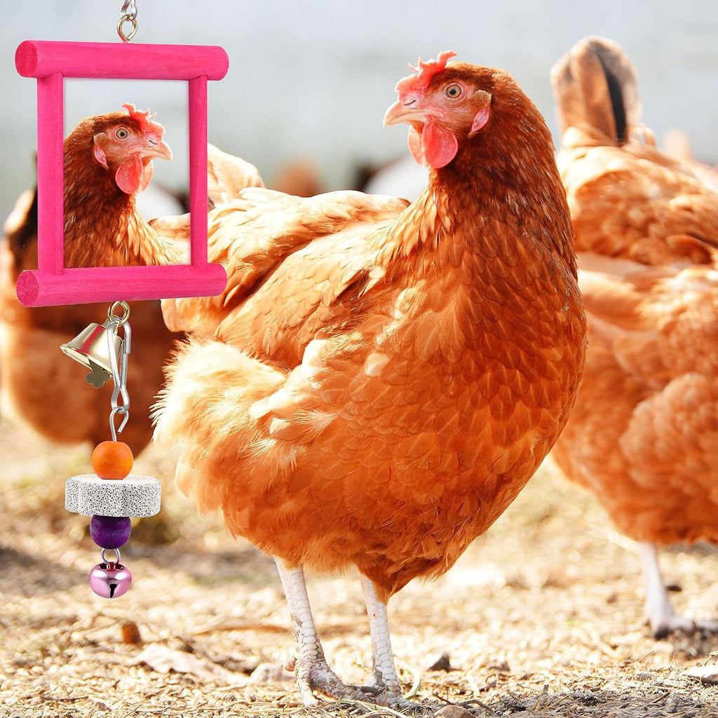 Complete 6-piece chicken enrichment kit flat lay display