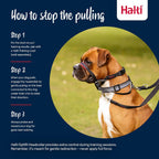 Halti Optifit Headcollar - Stop Your Dog Pulling on the Leash. Adjustable, Reflective and Lightweight, with Padded Nose Band. Dog Training Anti-Pull Collar for Medium Dogs (Size Medium) - Image 4