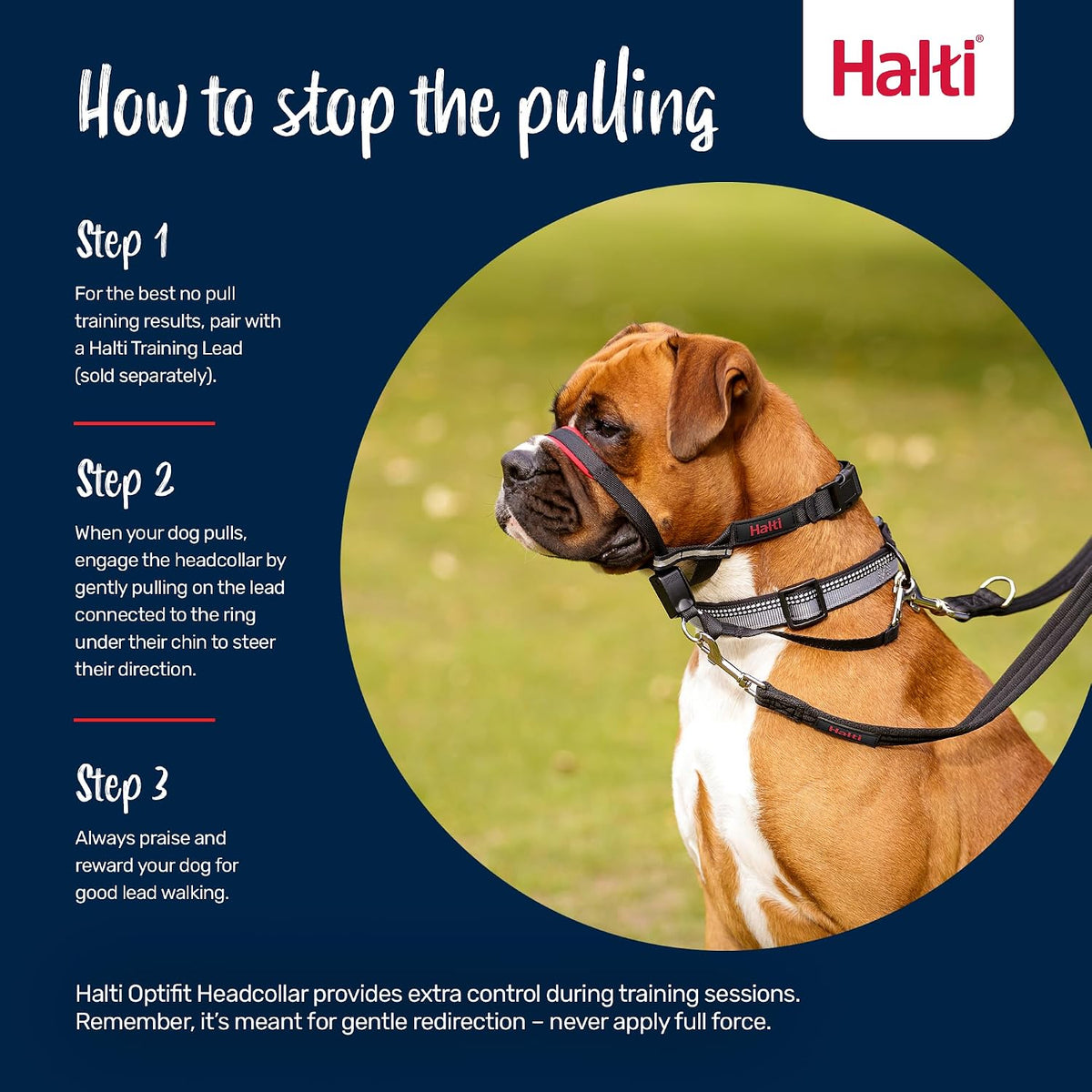 Halti Optifit Headcollar - Stop Your Dog Pulling on the Leash. Adjustable, Reflective and Lightweight, with Padded Nose Band. Dog Training Anti-Pull Collar for Medium Dogs (Size Medium) - Image 4