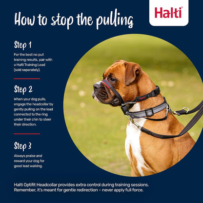 Halti Optifit Headcollar - Stop Your Dog Pulling on the Leash. Adjustable, Reflective and Lightweight, with Padded Nose Band. Dog Training Anti-Pull Collar for Medium Dogs (Size Medium) - Image 4