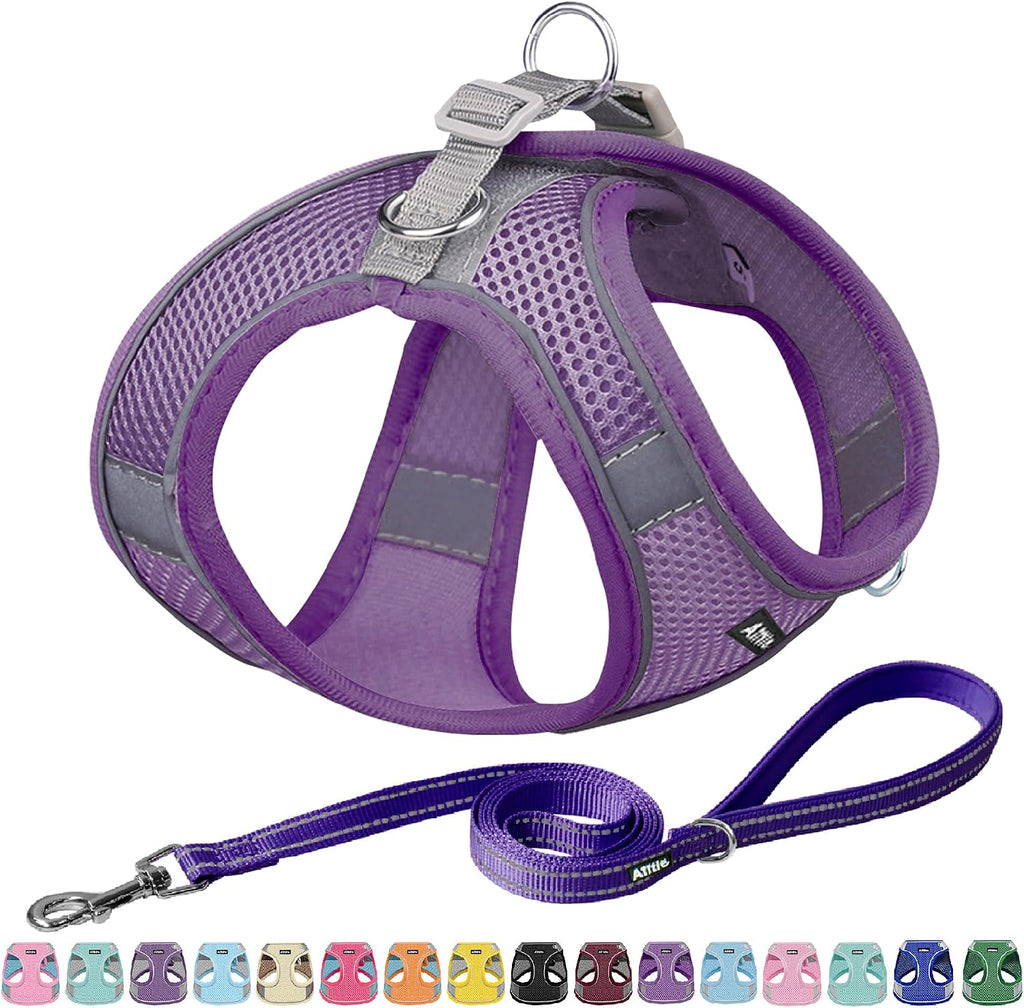 AIITLE No Pull Dog Harness and Leash Set, Step in Adjustable Dog Harness with Padded Vest for All Weather, Dog Leash with Soft Padded Handle, Easy to Put on Small and Medium Dogs Beige S - Image 13