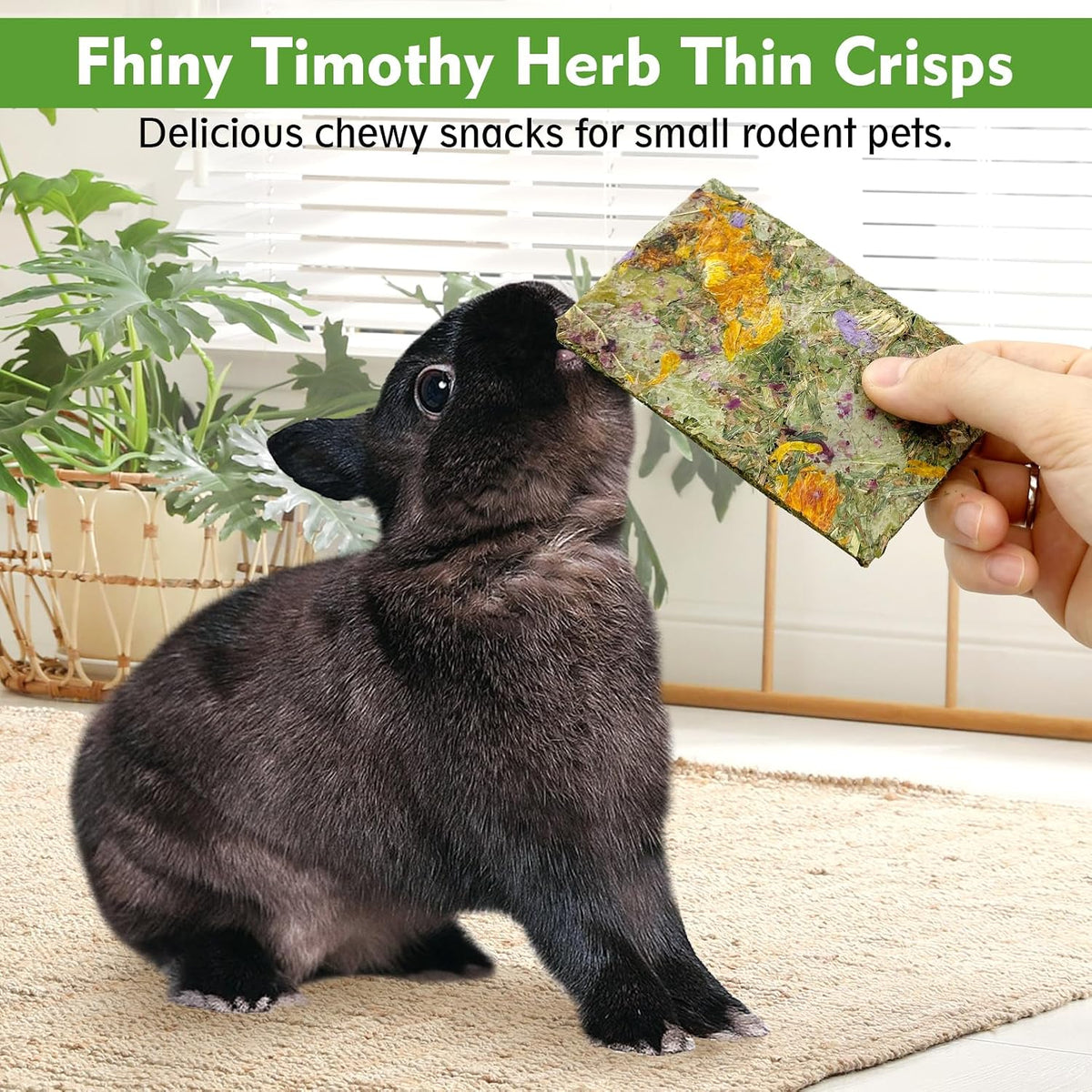 Close up view of Fhiny natural Timothy hay dental snacks with dried flowers for chinchillas.