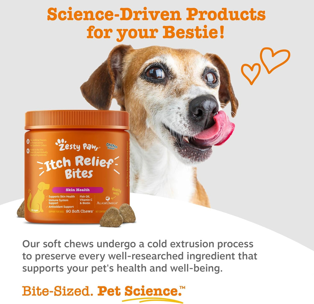 Daily dog immune and antioxidant support soft chews bottle