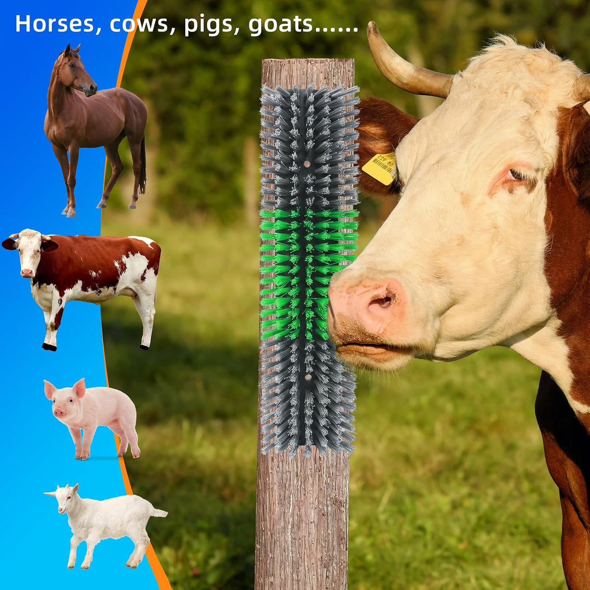 Heavy-duty farm animal scratcher by Rouisxue showing weather-resistant backing.