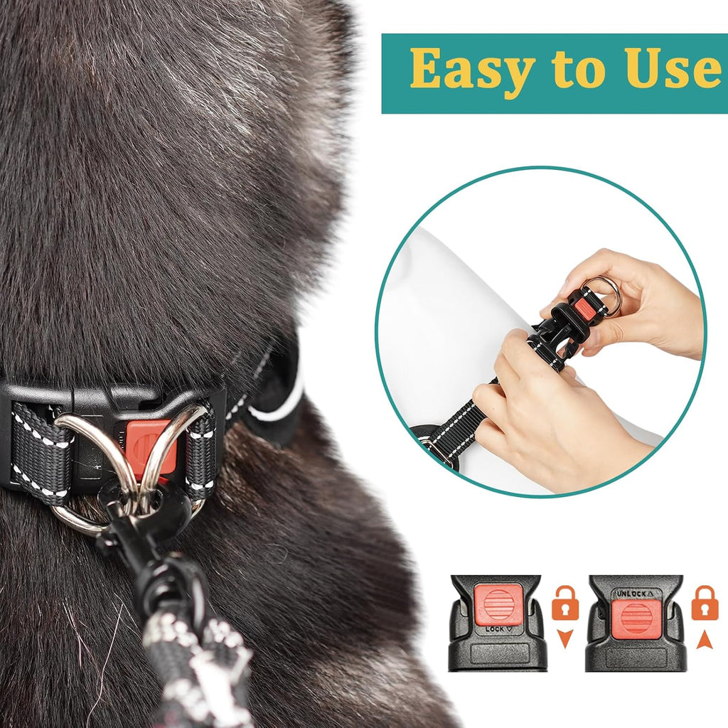 Mayerzon martingale collar packaged authentic USA imported pet product