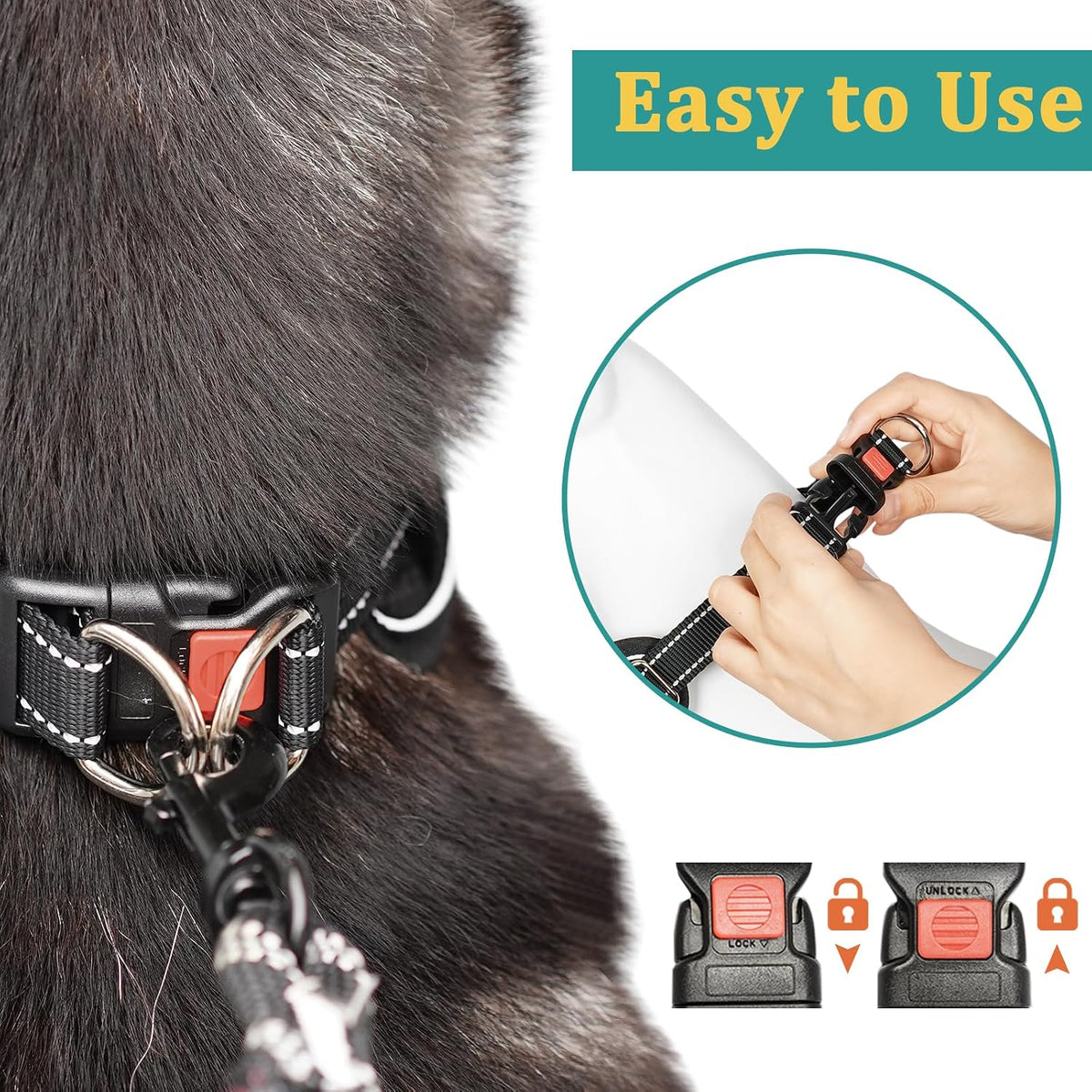 Mayerzon martingale collar packaged authentic USA imported pet product
