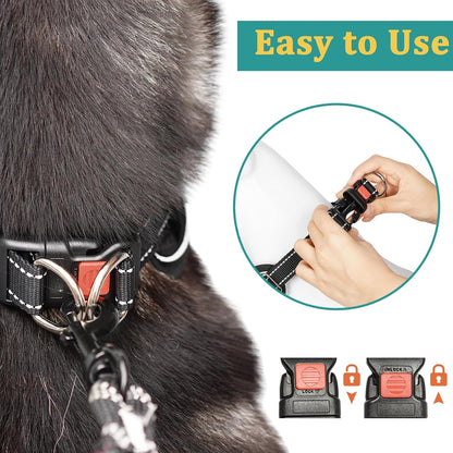 Mayerzon martingale collar packaged authentic USA imported pet product