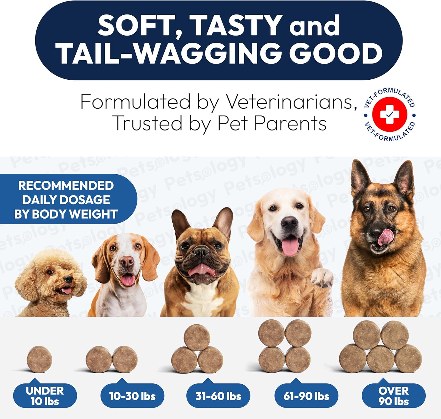 Bottle of Petsology dog chews for gut health