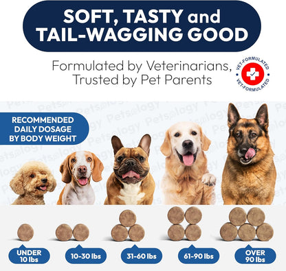 Bottle of Petsology dog chews for gut health