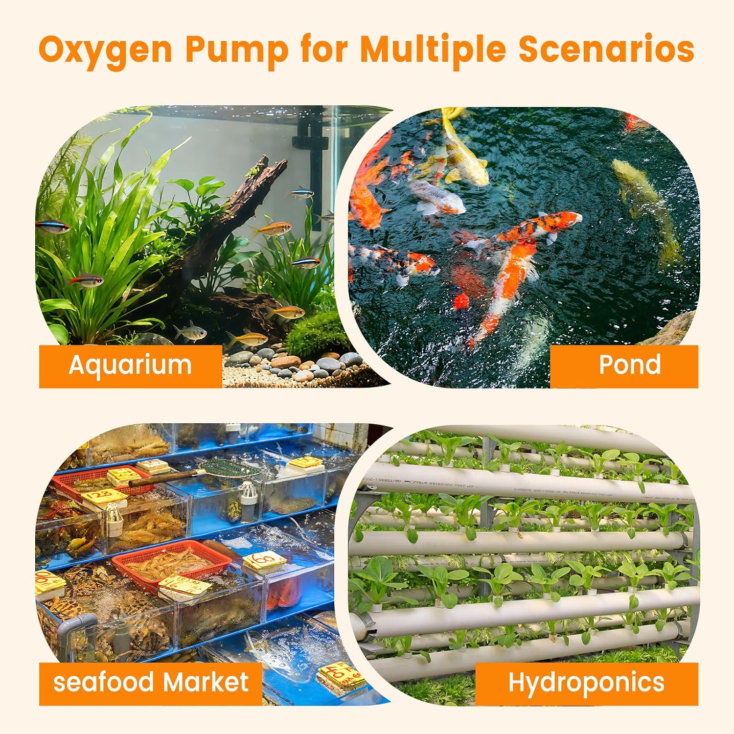 Setup diagram for AQQA 4-outlet air pump for fish tanks and seafood markets