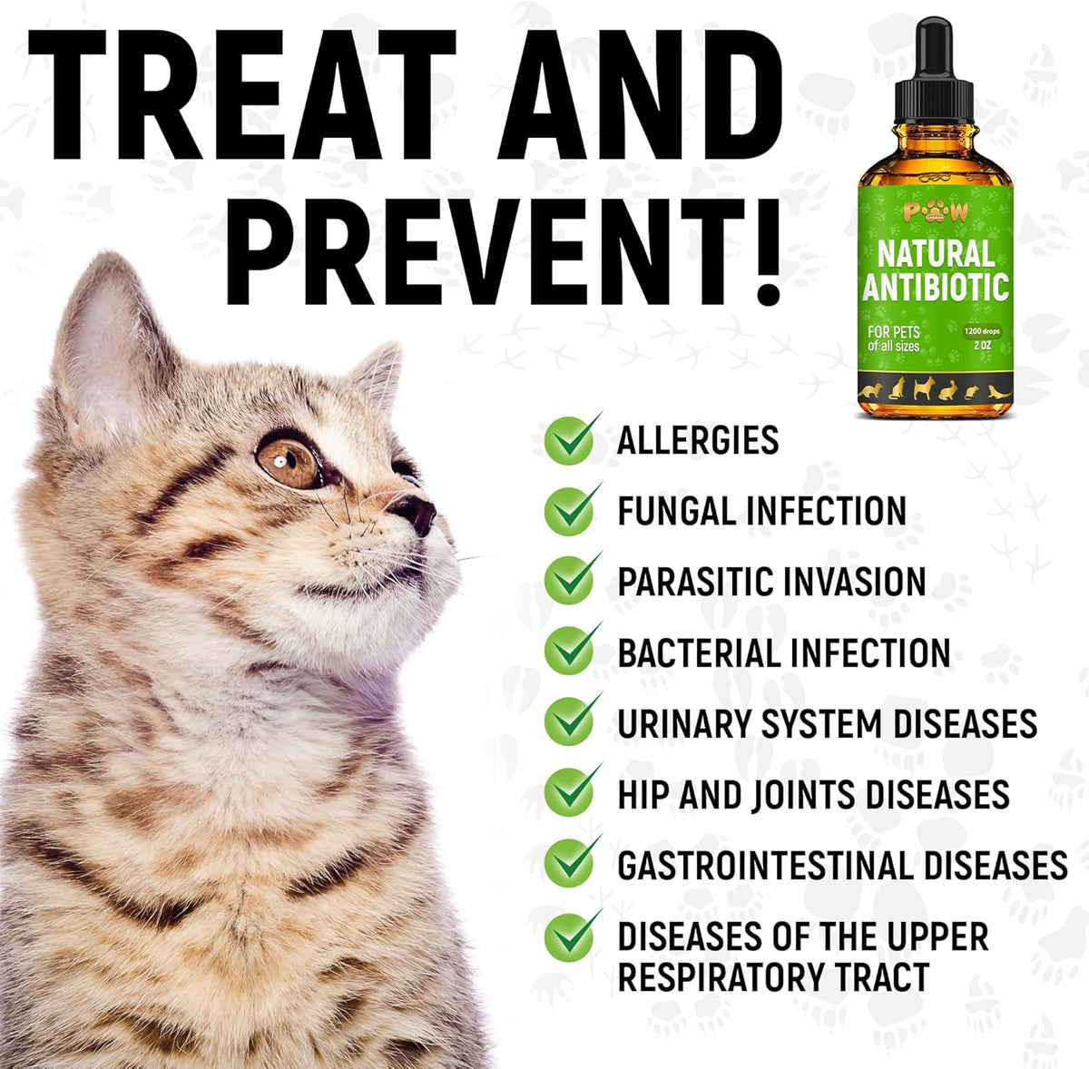 Golden Paw natural antibiotic for dogs and cats with detailed dosage instructions