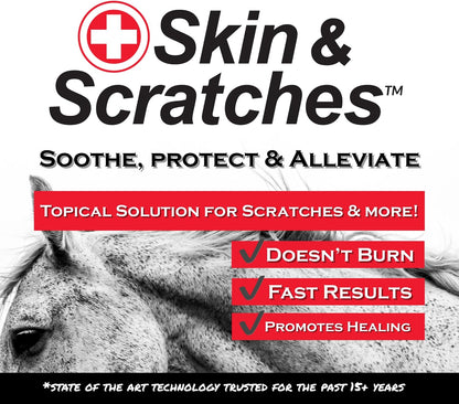 Show Out equine skin treatment kit with empty spray bottle and concentrate