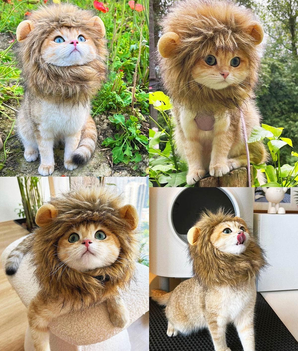 Side view of pet cat in lion mane wig