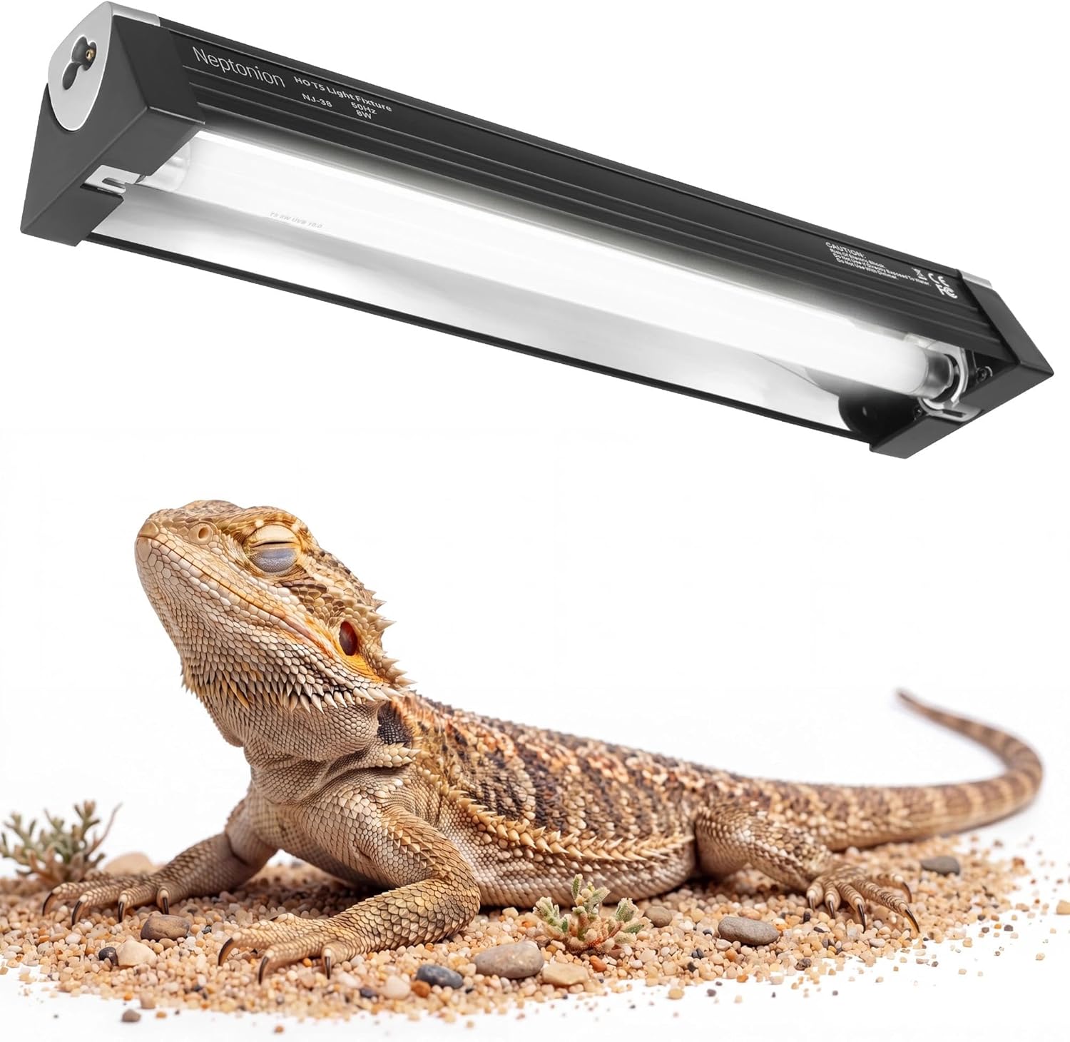 Neptonion T5 HO UVB reptile light fixture front view for terrarium setup.