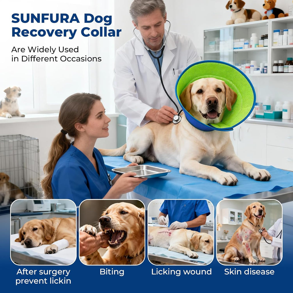 Autrous soft protective pet cone collar on a medium dog