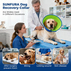 Autrous soft protective pet cone collar on a medium dog
