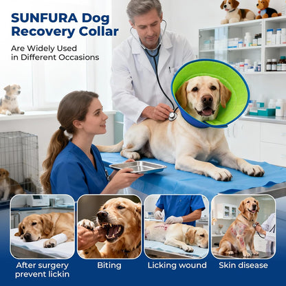 Autrous soft protective pet cone collar on a medium dog