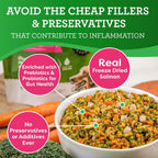 Close up of Dr. Harvey's dehydrated dog food texture