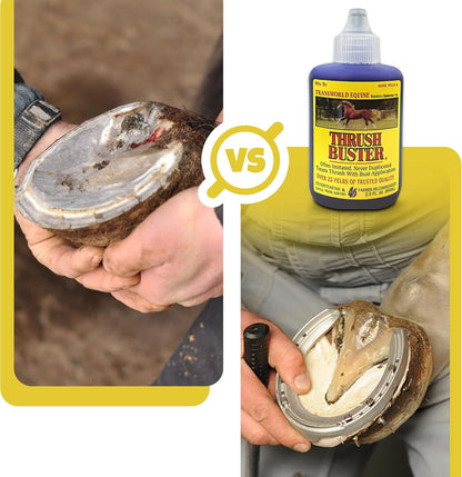 Thrush Buster packaging with clear view of the purple stain formula branding text